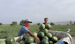 几年前安徽吃瓜爆料,一场引发热议的网络风云